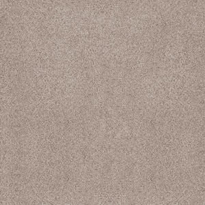 Sand Dunes II Quinn Beige 62 oz. Nylon Texture Installed Carpet