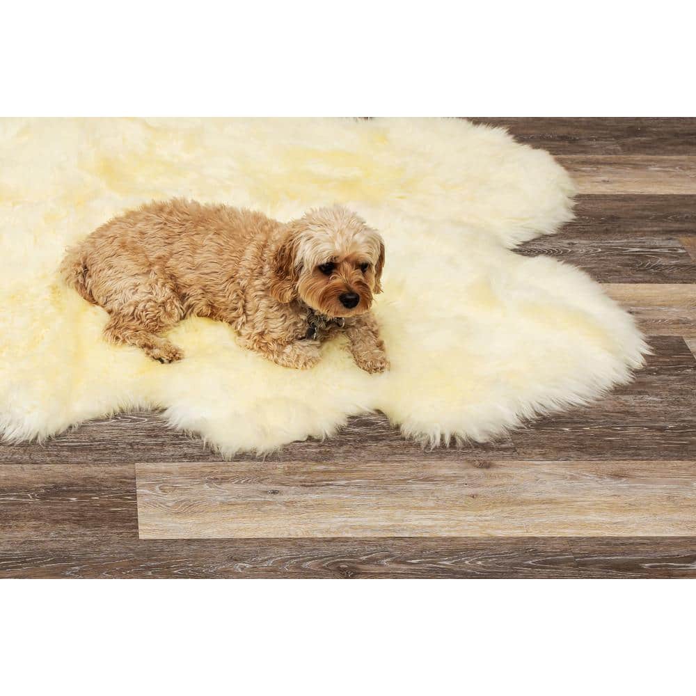 Luxurious Handmade New Zealand Sheepskin Fur Rug 7x6
