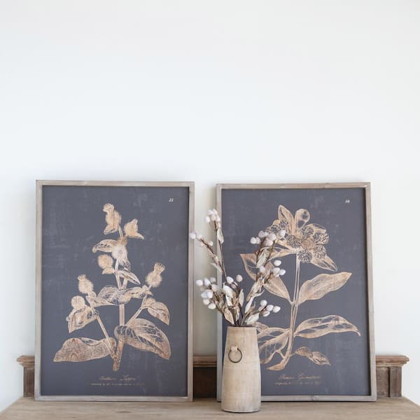 Begonia botanical drawing - Begonia - Posters and Art Prints | TeePublic