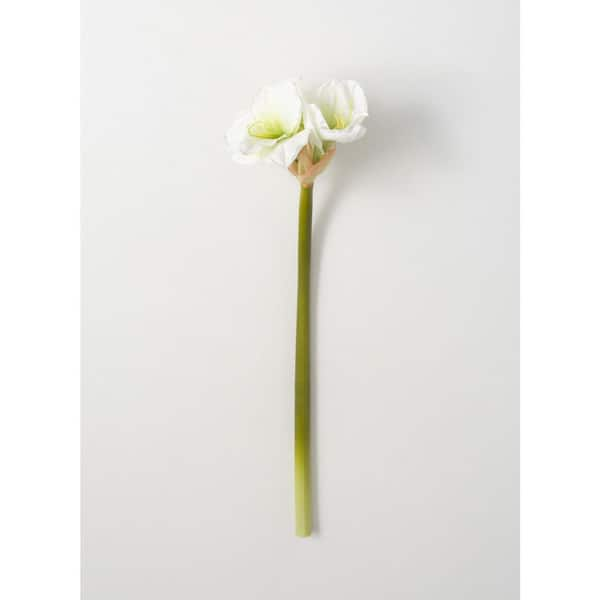 SULLIVANS 28 in. White Artificial Amaryllis Stem