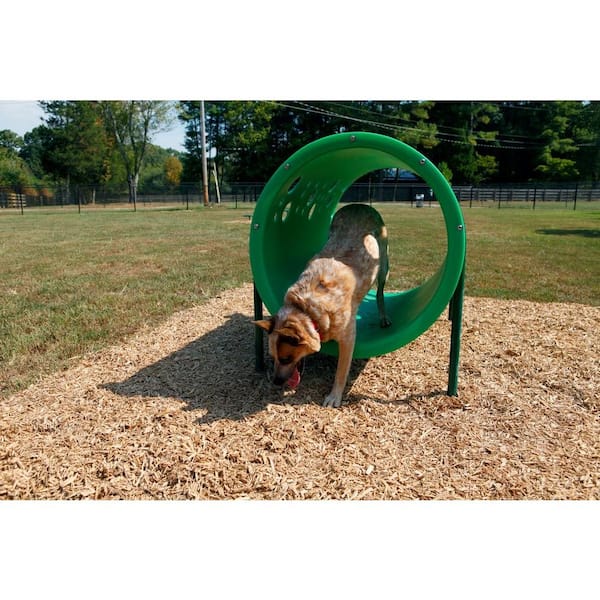 The Boneyard - 7 Piece Dog Park Agility Obstacle Kit