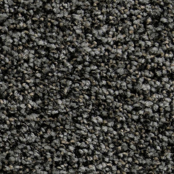 Beaulieu Carpet Sample - Greenlee I - In Color Black Seaweed 8 in. x 8 in.