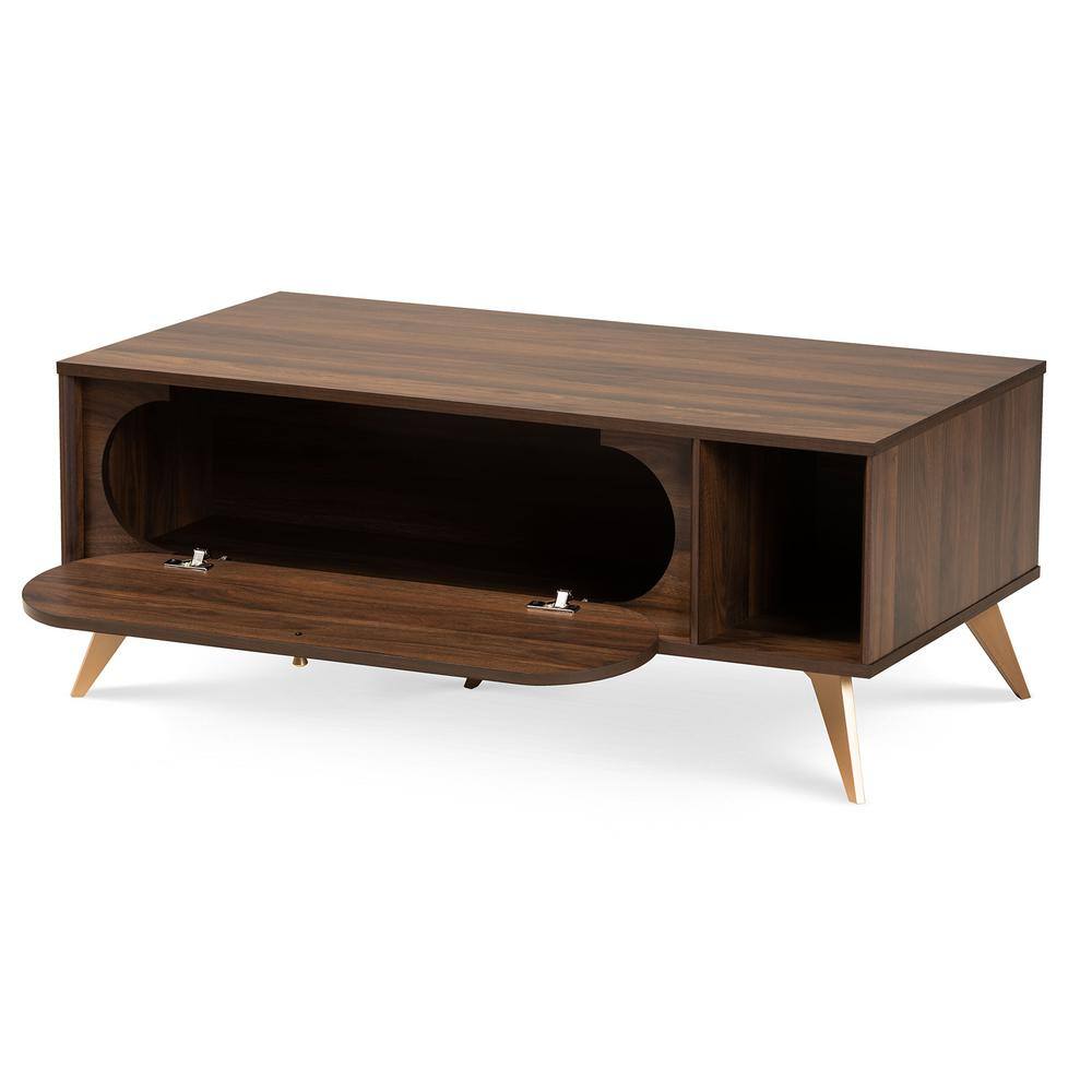 Walnut Brown and Gold Mid-Century Modern Coffee Table with Storage