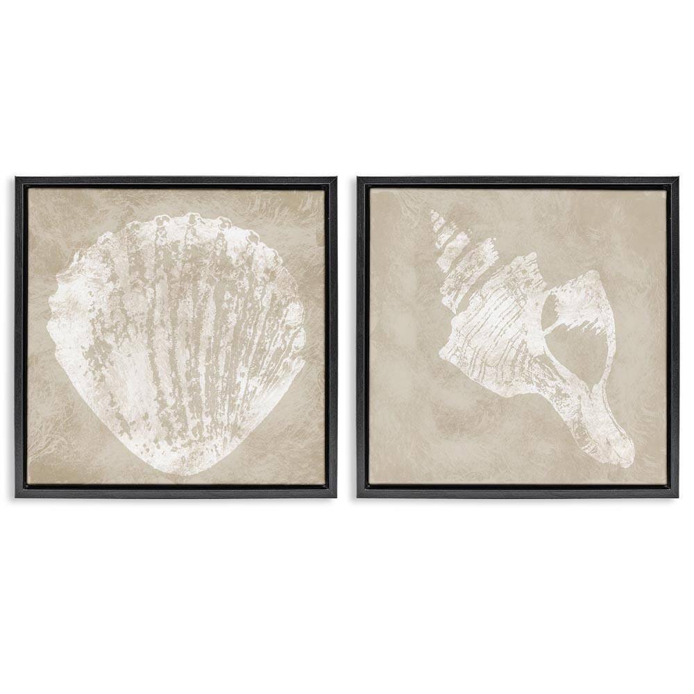 Rustic Abstract Seashells by Carol Robinson 2-Pieces Black Floater Frame Coastal Graphic Art Print 25 in. x 25 in.