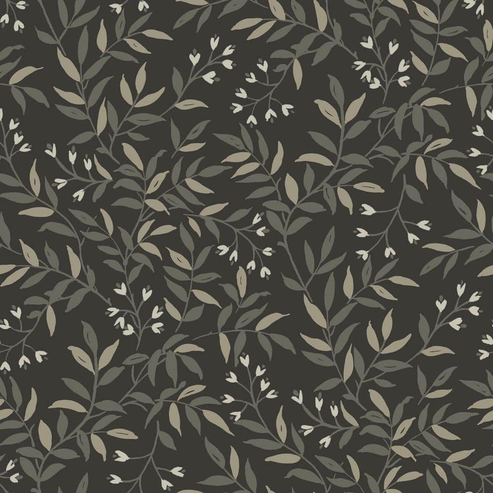 Olivia Black Peel and Stick Wallpaper Roll price history on PriceWatchPro