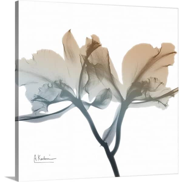 "Earthy Orchid" by Albert Koetsier Canvas Wall Art