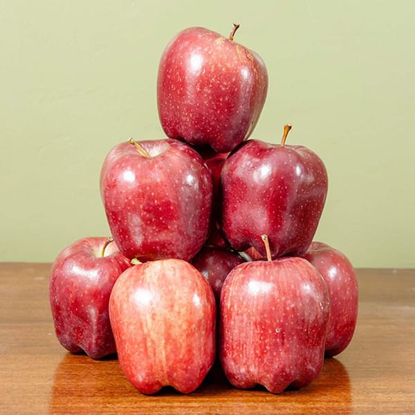 Premium Photo  Harvest of fresh organic red apples in the black boxes