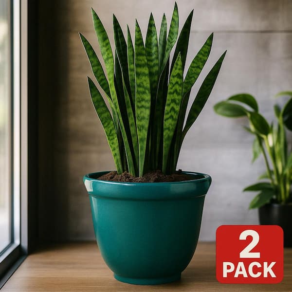 22 in. Dia Teal Resin Round Felicia Planter (2-Pack)