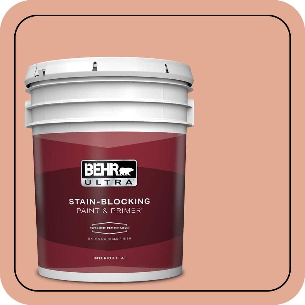 5 gal. #M190-4 California Coral Extra Durable Flat Interior Paint & Primer product image for price tracking