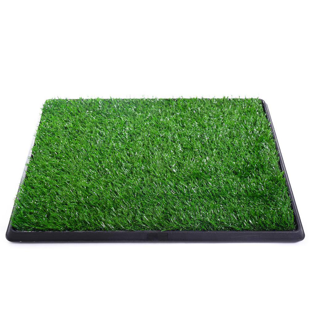 outdoor pet potty grass