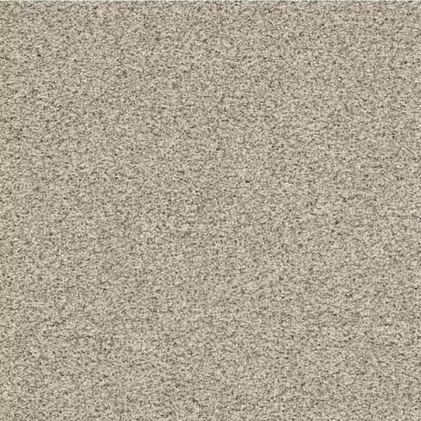 8 in. x 8 in. Texture Carpet Sample-Trestle II-Color Horizon