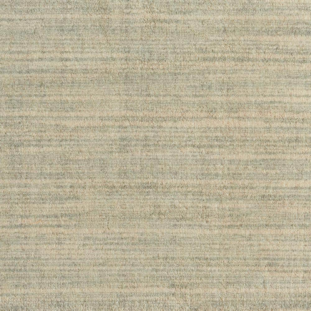 6 in. x 6 in. Texture Carpet Sample - Suspicion - Dovetail price history on PriceWatchPro