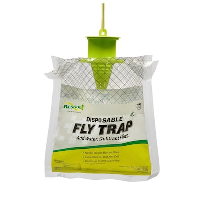 Insect Traps