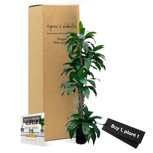 Handmade 6 .5 ft. Artificial Tropical Cradle Tree in Home Basics Plastic Pot Made with Real Wood and Moss Accents