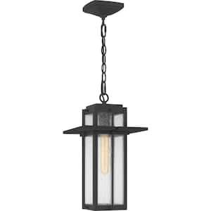 Randall 9 in. 1-Light Mottled Black Outdoor Pendant-Light with Clear Seeded Glass