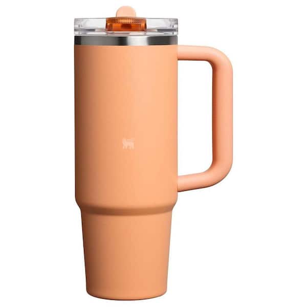 30 oz. Insulated Stainless Steel Cup Flip Straw Tumbler with Leakproof Lid, Compatible for Travel in Oasis Apricot