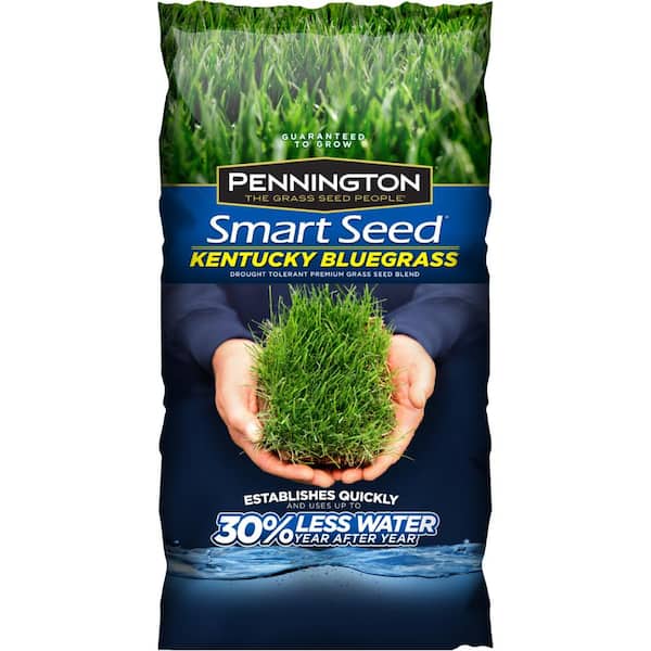 Pennington Smart Seed 7 lbs. Kentucky Bluegrass Grass Seed Blend PC