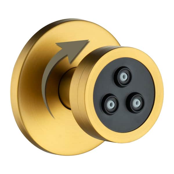 1-Spray 360° Adjustable Angle Body Jet in Brushed Gold