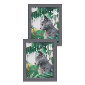 Modern 8 in. x 10 in. Grey Picture Frame (Set of 2)