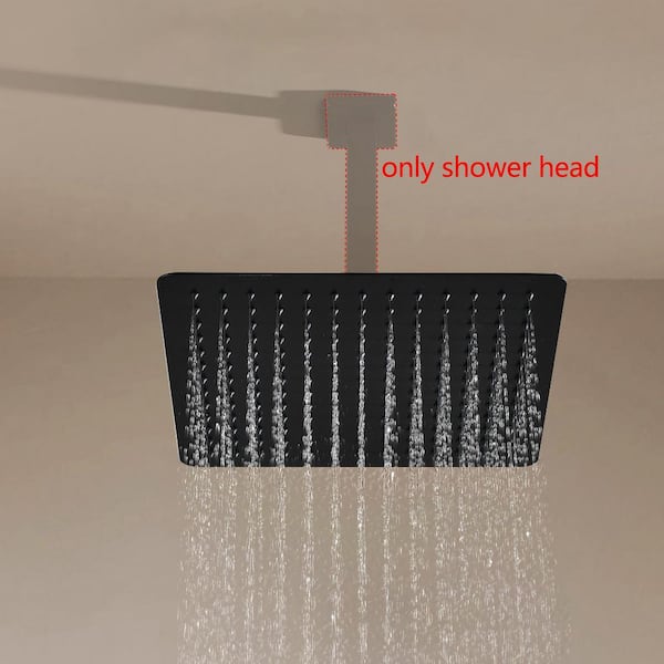 1-Spray Patterns with 2.5 GPM 16 in. Ceiling Mount Fixed Shower Head with 360° Rotation in Matte Black
