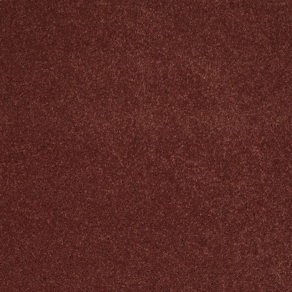 SoftSpring Carpet Sample - Miraculous II - Color Flora Texture 8 in. x 8 in.