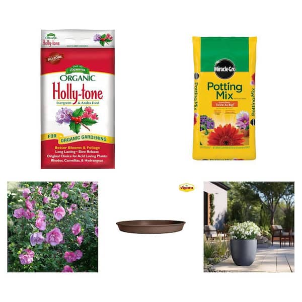 Potting Soil 50 qt, Holly Tone Fertilizer 27 lb, Rose of Sharon, 18 in. Planter, 14.2 in. Saucer Combo