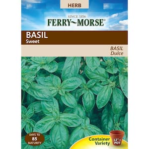 Basil Herb Sweet Seeds