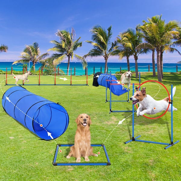 SKYSHALO Dog Agility Training Equipment, 7 PCS Set with Adjustable