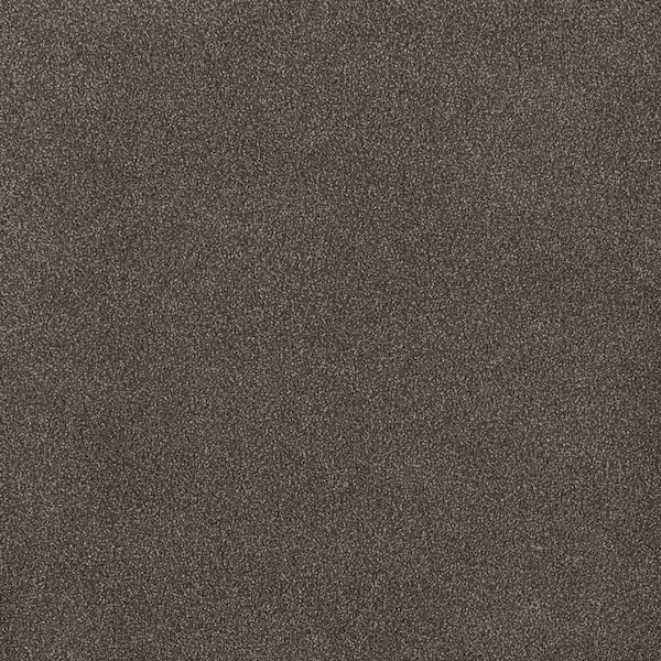 Home Decorators Collection First Class I - Robin - Brown 32 oz. SD Polyester Texture Carpet - Installation Required