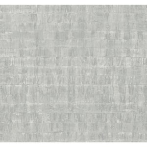 Ronald Redding Silver Liquid Metal Paper Unpasted Matte Wallpaper (27 in. x 27 ft.)