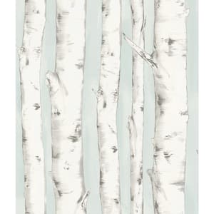 Pioneer Light Blue Birch Tree Paper Strippable Roll (Covers 56.4 sq. ft.)