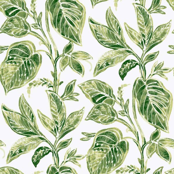 NuWallpaper Green Caryota Vinyl Peel & Stick Wallpaper