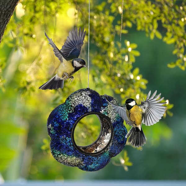 Pacific Giftware Magical Bird Half an Hour Sand Timer, Home