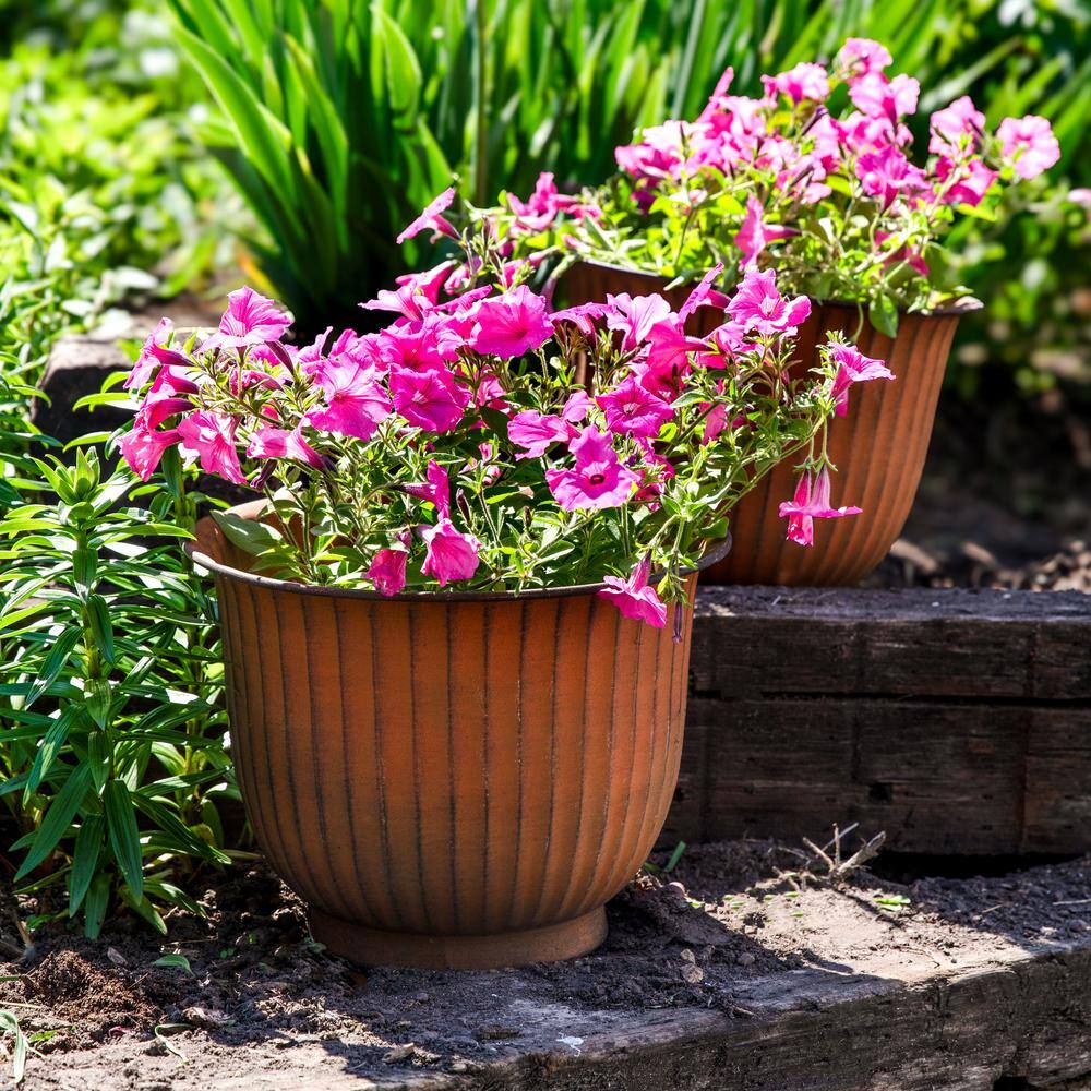 Carlotta Matte Brown Medium Metal Indoor/Outdoor Planter Set