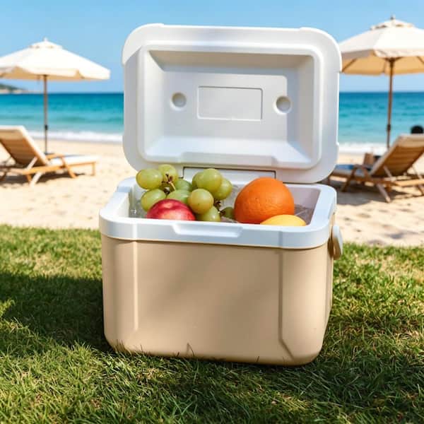 5.3 QT Hard Cooler, Insulated Ice Chest Box, Portable Ice
