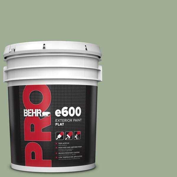 BEHR PRO 5 gal. #S390-4 Roof Top Garden Flat Exterior Paint