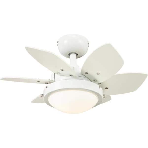 24 in. Integrated LED Indoor Quince White Reversible Ceiling Fan