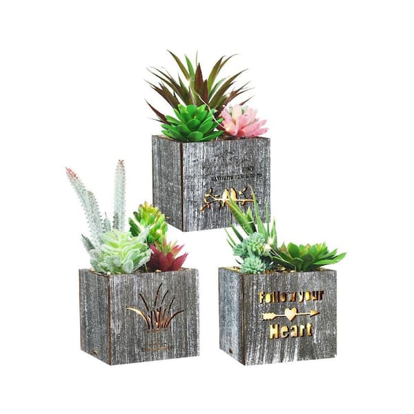 starting flower seeds indoors Complete Indoor Growing Seed Starting Kit, Annual Flower Seeds