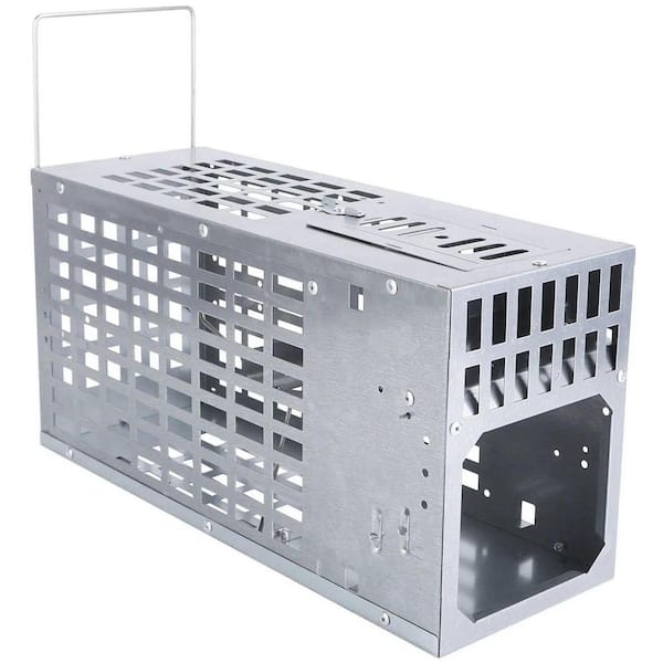 Humane Mouse Trap-Reusable Metal Live Catch & Release Rodent Cage for Indoor/Outdoor Use, Safe for Pets & Kids