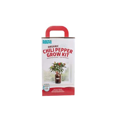 Windowsill Organic Chili Pepper Grow Kit