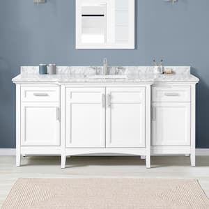 Sassy 72 in. W x 22 in. D x 34 in. H Single Sink Bath Vanity in White with Carrara Marble Top