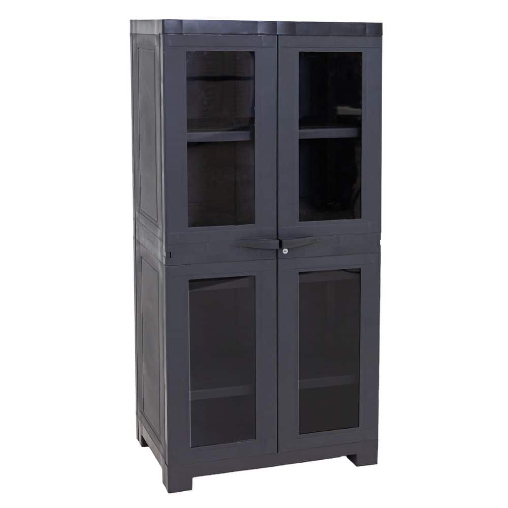Window-Front 23.5 in. W x 48.75 in. H x 14 in. D Storage Freestanding Cabinet with Adjustable Shelves in Charcoal price history on PriceWatchPro