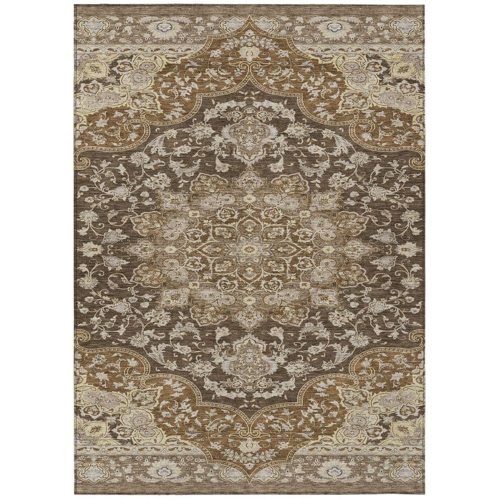 Chantille Machine Washable Indoor/Outdoor Abstract ACN2853 Chocolate 8 ft. x 10 ft. Area Rug price history on PriceWatchPro