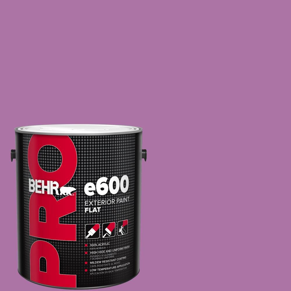 1 gal. #670B-6 Orchid Kiss Flat Exterior Paint price history on PriceWatchPro