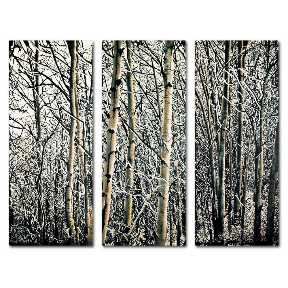 Trademark Fine Art Hidden Frame Landscape Art 3-Panel Set Aspen Winter ...