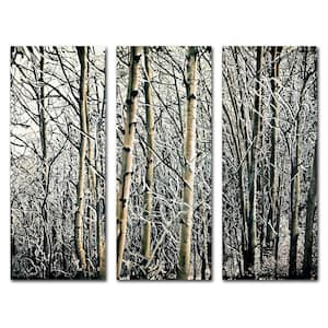 Hidden Frame Landscape Art 3-Panel Set Aspen Winter by Roderick Stevens 32 in. x 42 in.