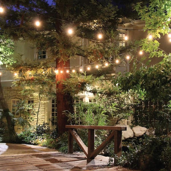 11-Watt Equivalent G25 Globe Fairy Light Crackle Glass LED Light Bulb in Soft White (4-Pack)