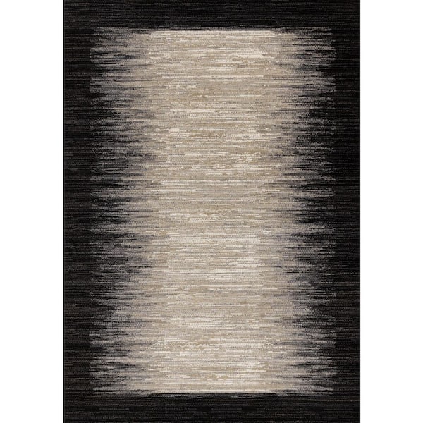 Aethera Collections 8' x 11' (7'10" x 10'10") Black Border, Distressed Indoor Area Rug