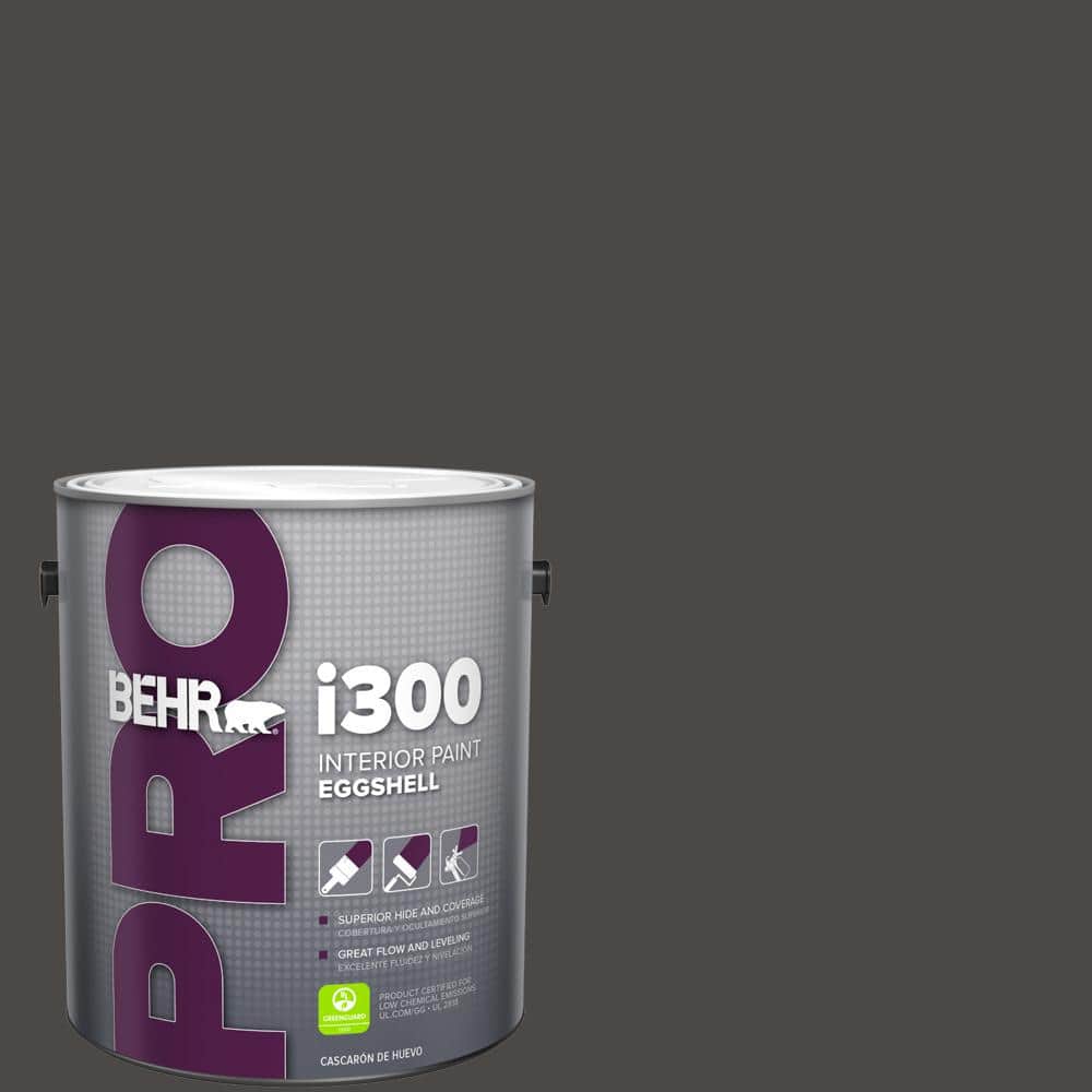 1 gal. #HDC-CL-14A Warm Onyx Eggshell Interior Paint price history on PriceWatchPro