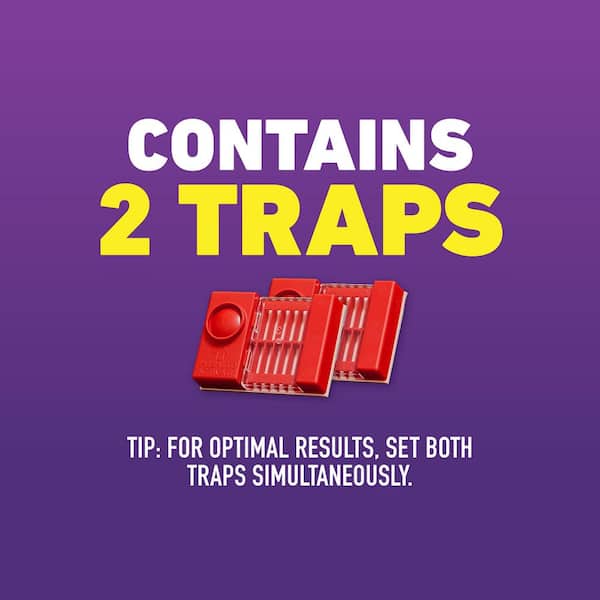 Home Defense Max Bed Bug Trap, Detect Bed Bugs in Homes and While Traveling (2-Pack)